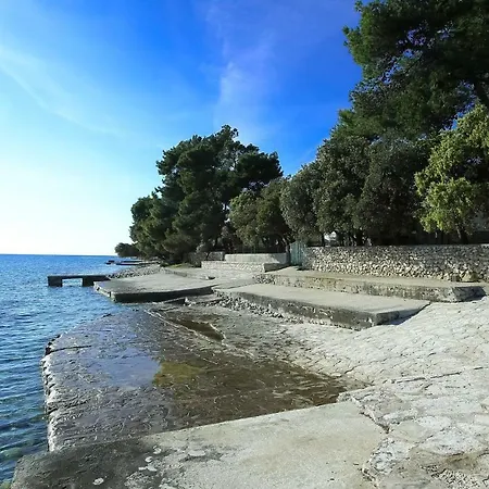 Palma *