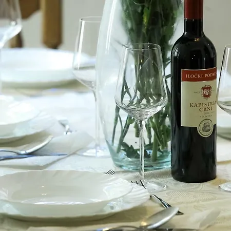 Tatil Evi Palma Petrčane