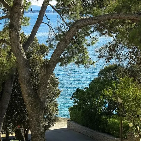 Palma * Petrcane