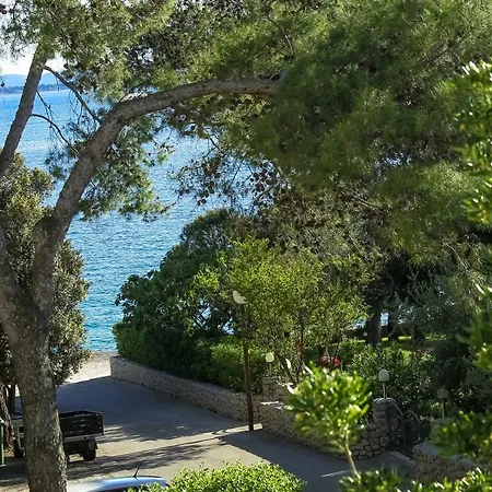 Palma * Petrcane