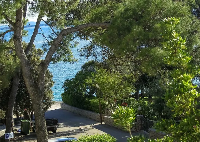 Palma * Петрчане